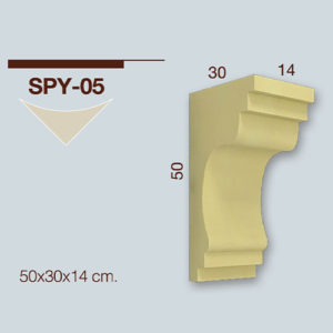 SPY05 PAYANDA 50X30X14CM